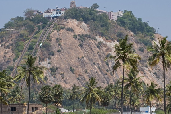Palani Murugan Temple